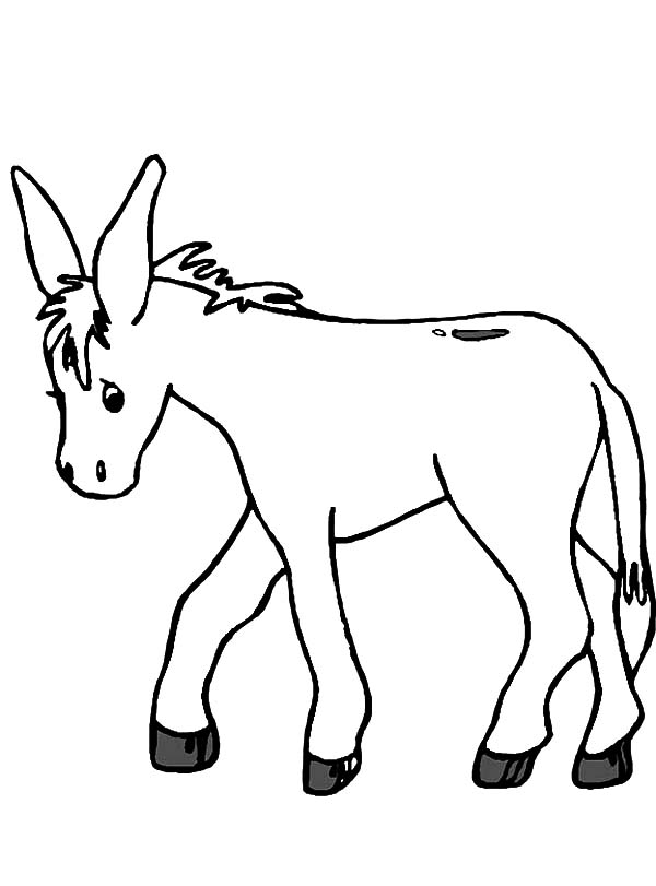 How to Draw Donkey Coloring Pages: How to Draw Donkey Coloring ...
