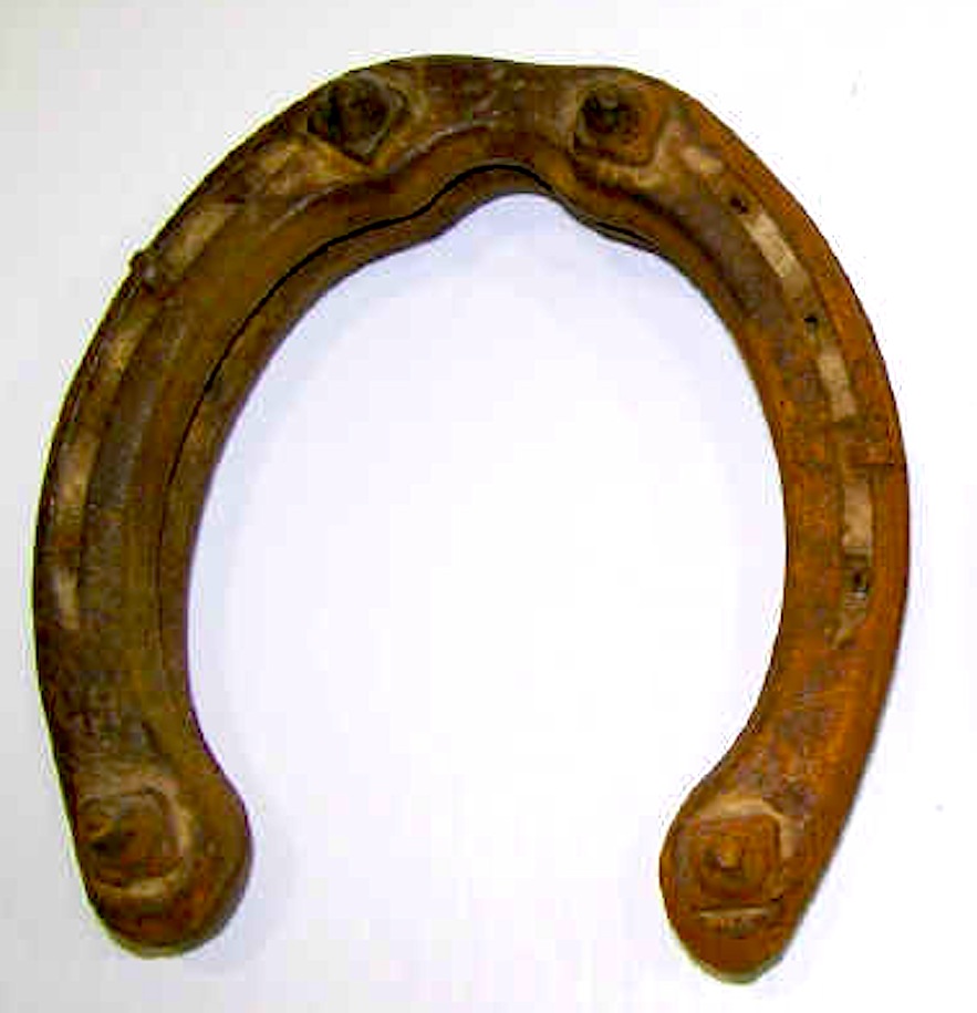 Was it the Horseshoes? | Napoleon in Russia