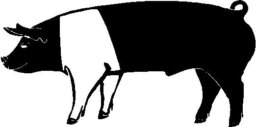 Show pig clipart