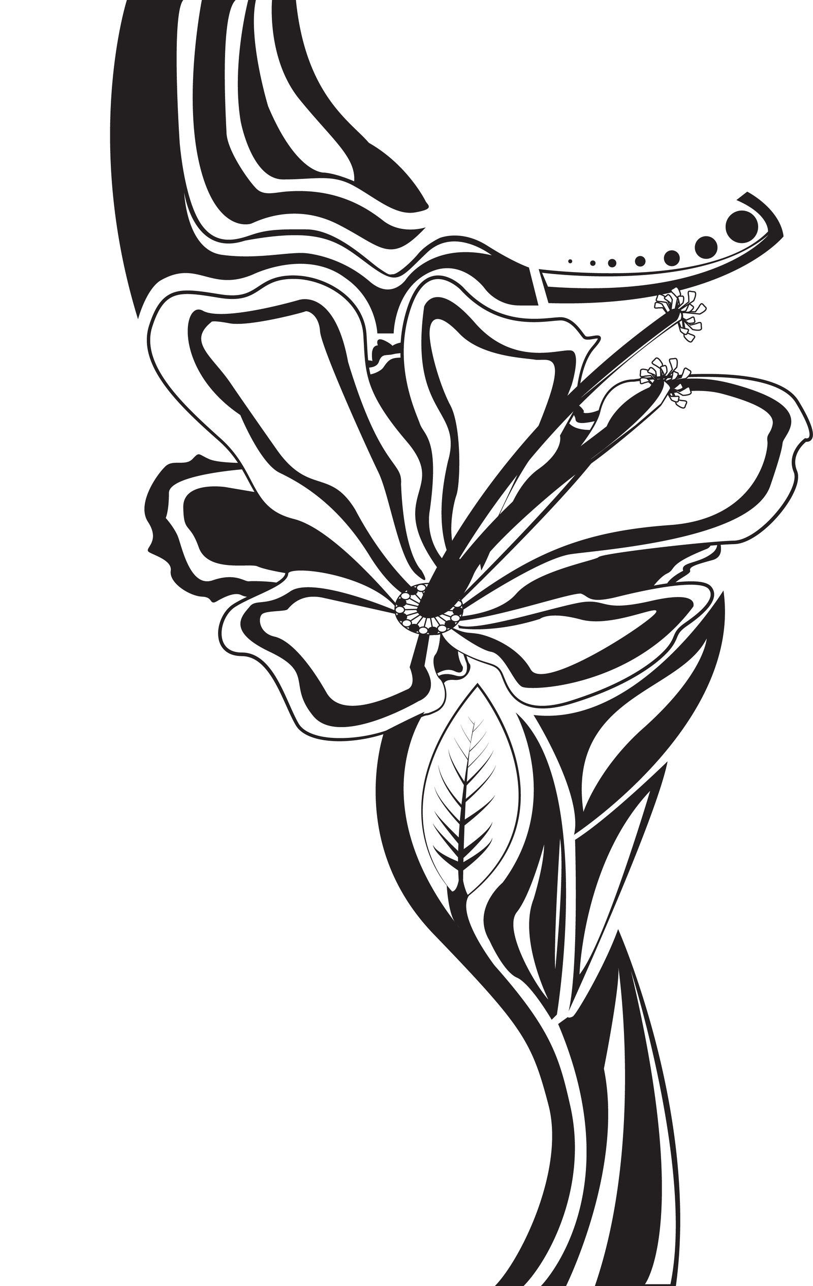 Vector Hibiscus: Revisit