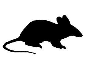 Goat Silhouette Httpwwwfunny Clip Art Cool Drawingscomanimal ...