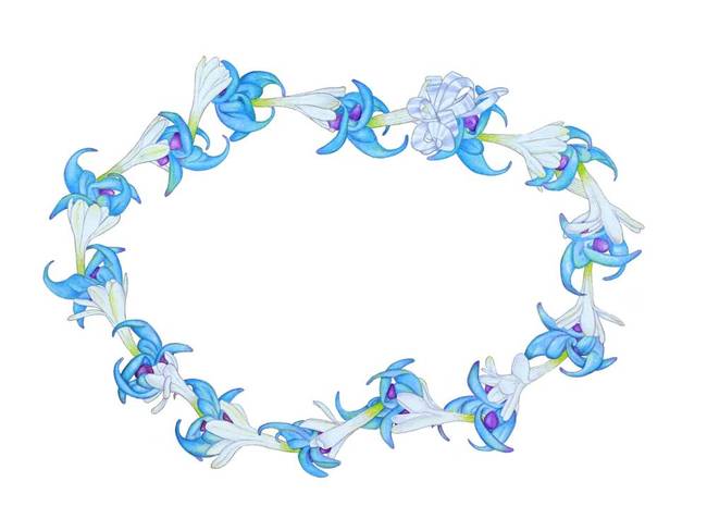 Jade vine and Tuberose Lei Art Prints by Joel Carlson - Shop ...