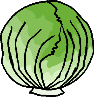 Lettuce Clipart