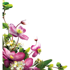 Floral & Decorative Corners - 1 - Polyvore
