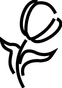 1000+ images about flower tattoos