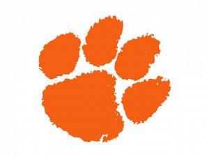 Pictures Of Tiger Paws