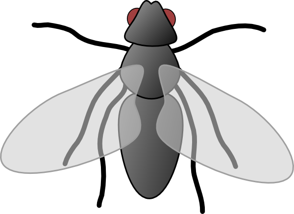 Flies Clipart | Free Download Clip Art | Free Clip Art | on ...