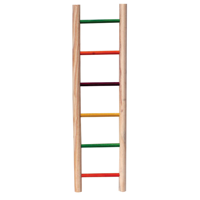 Ladders for Pet Birds | thatpetplace.