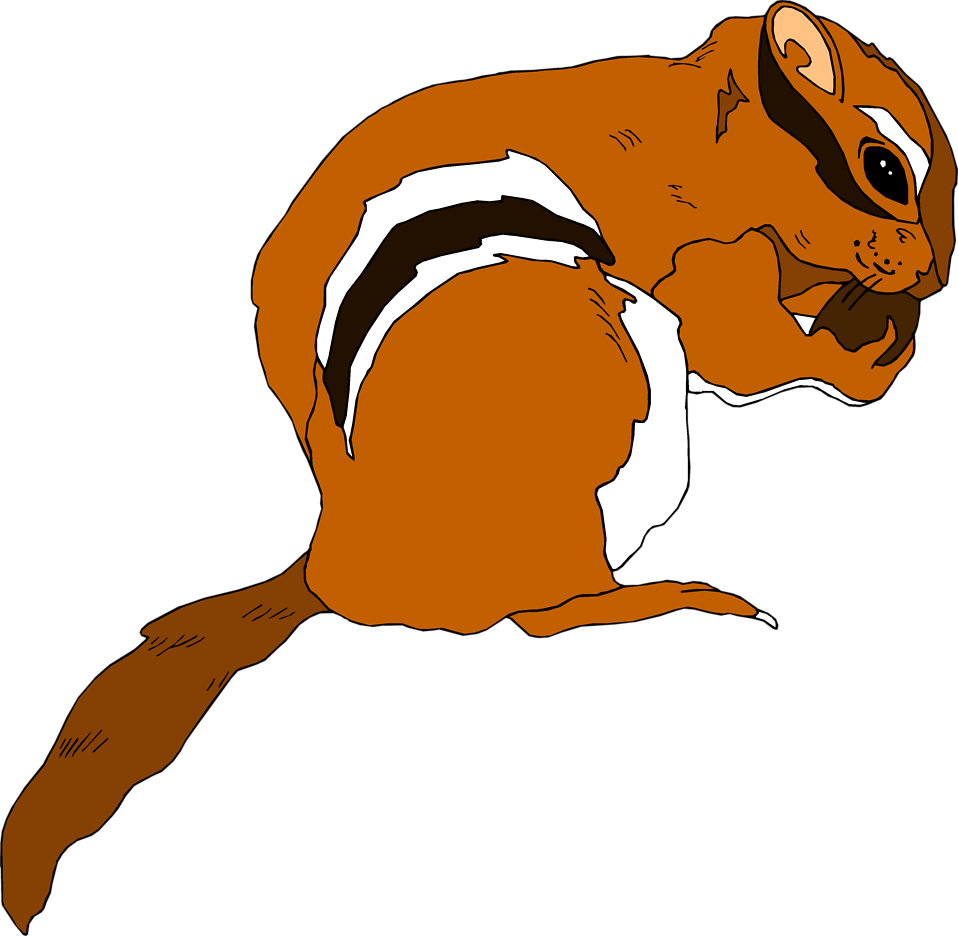 Clear background chipmunk clipart