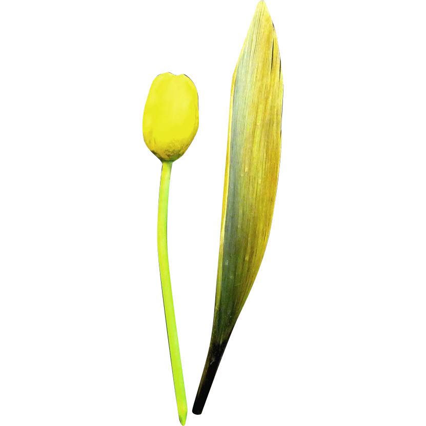 Old German Made Single Blown Glass Tulip with Leaf from rubylane ...