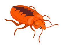 Search Results - Search Results for insect clipart Pictures ...