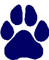 Panther Paw Print