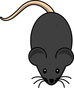 Mouse Clipart