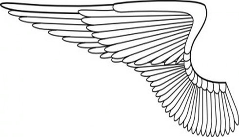 Wing Clip Art | Free Vector Download - Graphics,