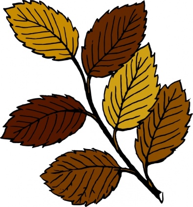 Autumn Leaves On Branch clip art vector, free vectors