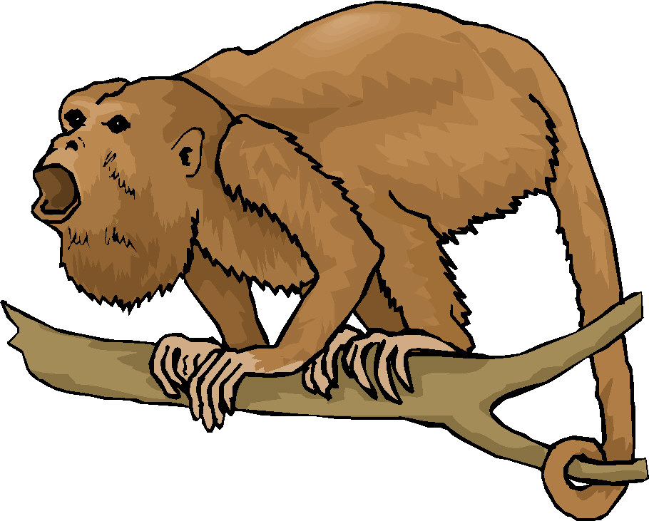 Clip Art - Clip art monkeys 986483