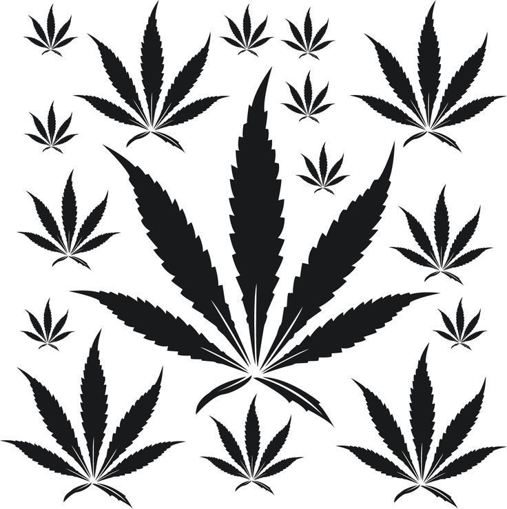 Sexy Pot Leaf Tattoos | Of pot leaf fotosearch answers drawings to ...