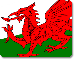 Welsh Flag Store, Welshsuperstore Welsh Gifts Shop & Fanstore