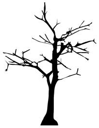 My Perception: Bare it All