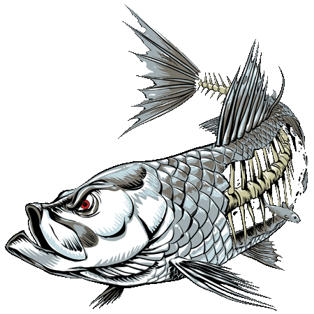 Decals | Fish Skinz Apparel