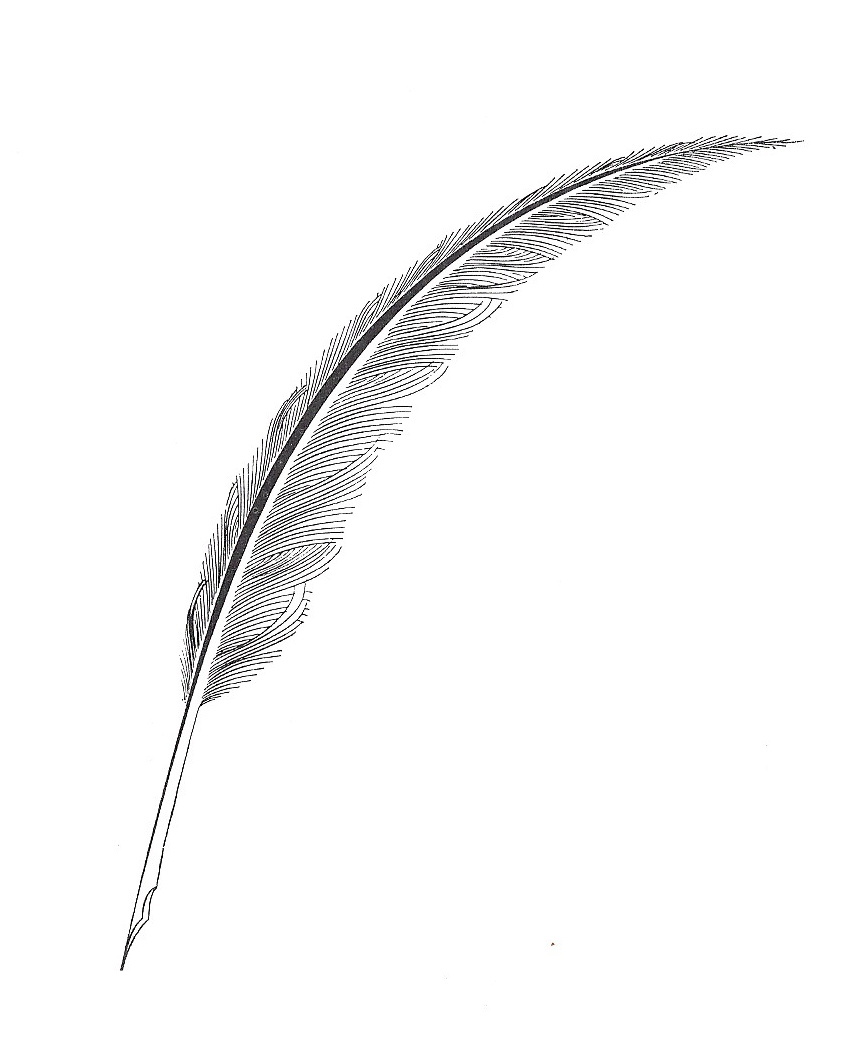 Quill Pen Png