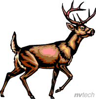 Stag - ClipArt Best