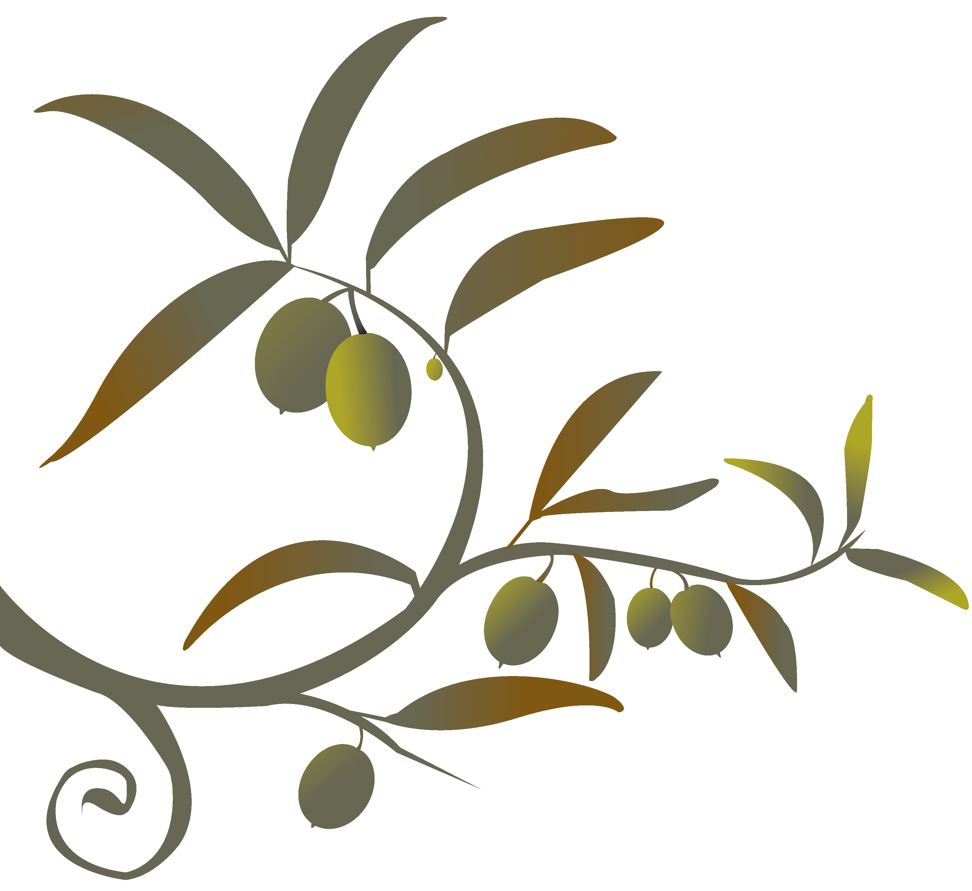Olive Branch Clip Art