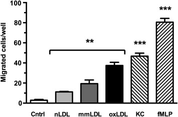 Effects of acute and chronic low density lipoprotein exposure on ...