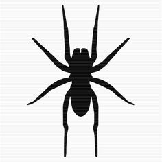 SpiderClipArt.