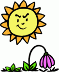 sun-heat-blasting-flower-free- ...