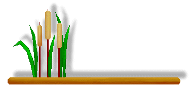 Cattail Clip Art - Gold Cattail Dividers