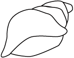 Tropical, Caribbean and Hawaii Coloring Sheets - Free Printable ...