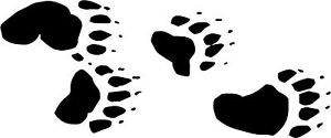 Bear Tracks Paw Print Decals 3 75"x9" Choose Color