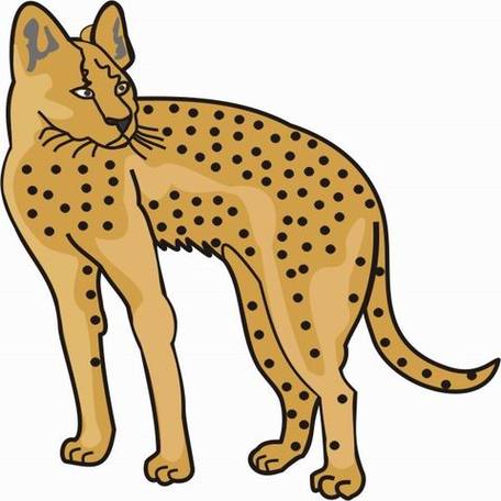 Cartoon Pictures Of Cheetahs - ClipArt Best