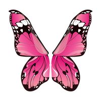 Butterfly wing design Vector Image - 1875234 | StockUnlimited