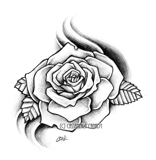 Rose Drawing - Dr. Odd