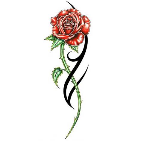 Rosen Tattoo Zeichnung - ClipArt Best