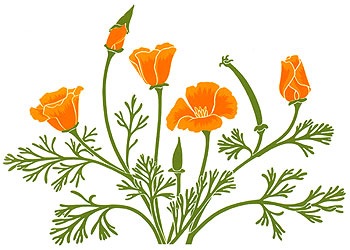 1000+ images about Tattoos | Bracelets, Red poppies ...