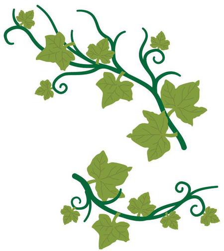 Spellbinders D-Lites Die - Ivy Leaves S3-210 - 123Stitch.com