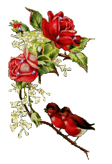Roses images Red Roses And Birds,Animated wallpaper and background ...