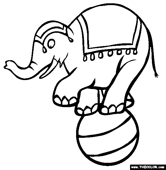 1000+ images about Circus elephant
