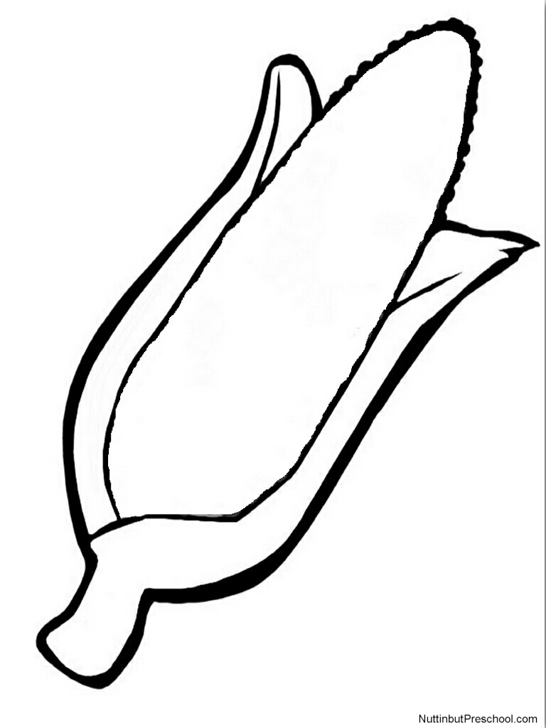 Without Of Corn Cobs Clipart