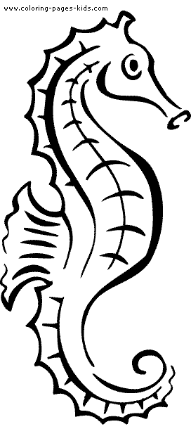 1000+ images about seahorse | Animal coloring pages ...