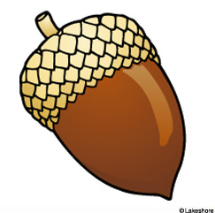 Acorn Clipart