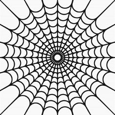 Spider web free website clip art danaspef top - Clipartix