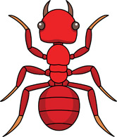 Free Insect Clipart - Clip Art Pictures - Graphics - Illustrations