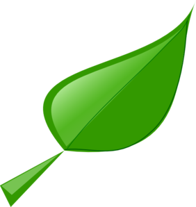 Leaf Clip Art - vector clip art online, royalty free ...
