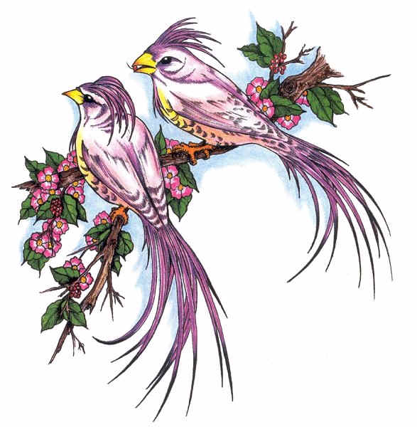 Free Tattoo Designs