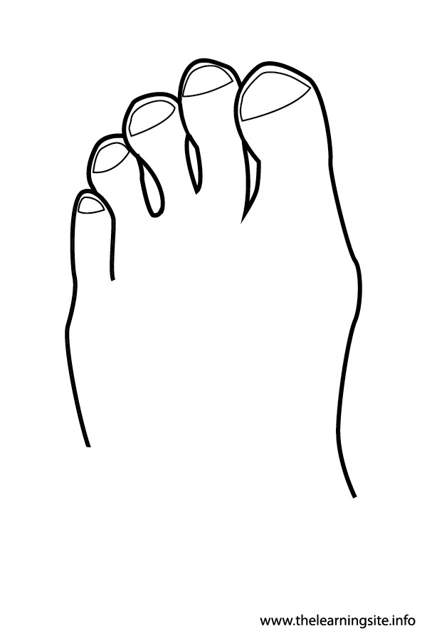 coloring pages duck outline coloring page here home duck duck ...