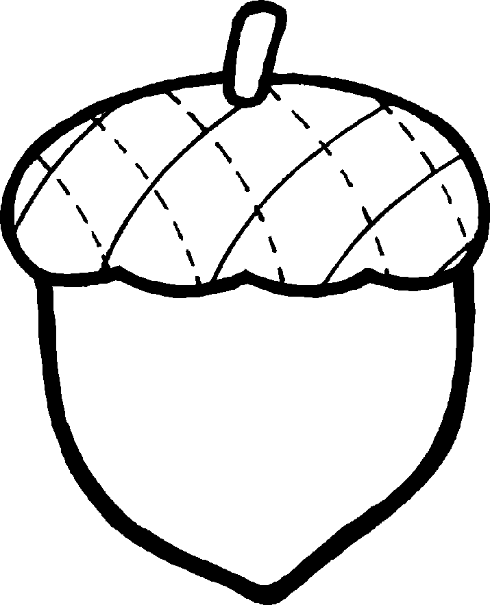Black And White Acorn Clipart